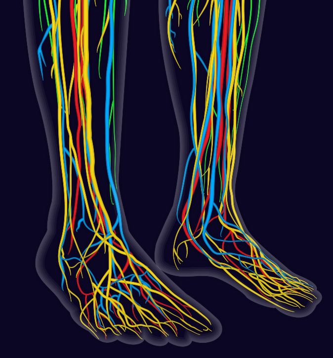 Peripheral Neuropathy